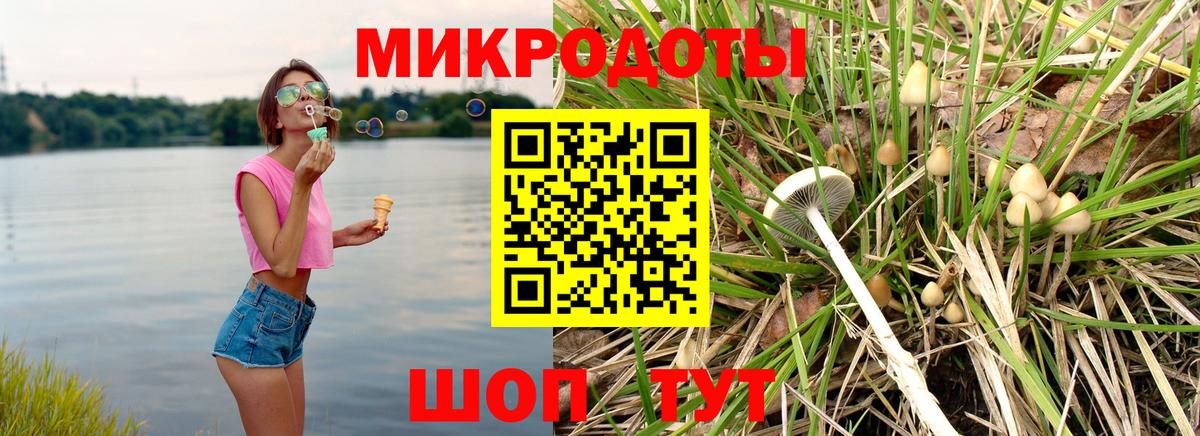 Галлюциногенные грибы Cubensis  Вход с VPN  Стерлитамак  Псилоцибиновые грибы Psilocybine cubensis 